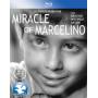 Miracle Of Marcelino / (spec) - Miracle Of Marcelino [Regio free (0)]