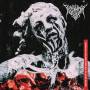 Predatory Void - Seven Keys to the Discomfort of Being