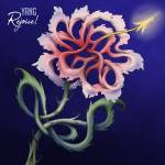 Yang - Rejoice