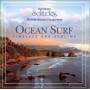 Dan Gibson - Ocean Surf