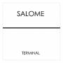 Salome - Terminal