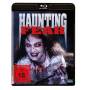Fred Olen Ray - Haunting Fear (Blu-ray) [DE-Version, Regio 2/B]