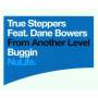 True Steppers Feat. Dane Bower - Buggin