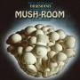 The Residents - Mush-room