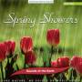 David Sounds Of The Earth Sun - Spring Showers
