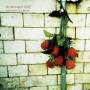 The Pineapple Thief - Variations On A Dream(Digipak)