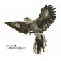 John Zorn - The Mockingbird