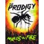 The Prodigy - Live-World's On Fire (Ltd Edition) [US-Version, Regio 1/A]