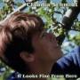 Claudia Schmidt - It Looks Fine from Here