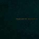 Tyshawn Trio Sorey (Tyshawn Sorey, Aaron Diehl, Ha - The Susceptible Now