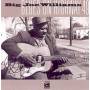 Big Joe Williams - BLUES ON HIGHWAY 49