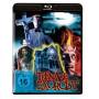 Grant Austin Waldman - Teenage Exorcist (Blu-ray) [DE-Version, Regio 2/B]