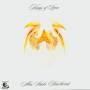 Kings Of Leon - Aha Shake Heartbreak