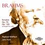 Raphael Wallfisch / John York - Brahms Sonaten op.78 & op.120