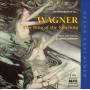 stephen Johnson - An Introduction To Wagner's Ring