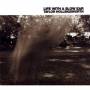 Taylor Hollingsworth - Life With A Slow Ear