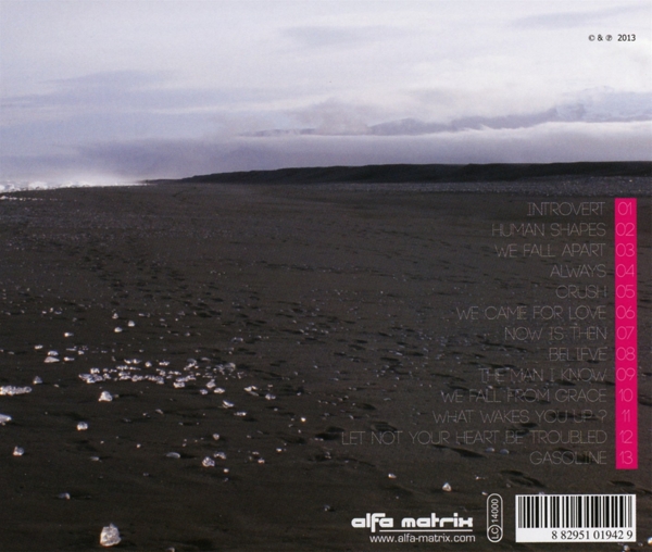 We Fall Apart 1