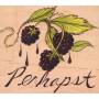 Perhapst - Perhapst