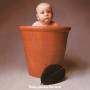 Barclay James Harvest - Baby James Harvest - 5 Disc Deluxe Box Set [IT-Version, Regio 2/B]