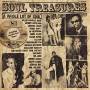 V / A - Southern Soul Deep Collection: Soul Treasures 2