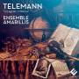 Ensemble Amarillis - Voyageur Virtuose