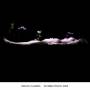 Kirlian Camera - Invisible Front.2005