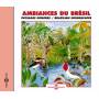 V / a - Brazilian Soundscapes