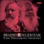 Segerstam / Sderblom / Turku Philhamonic Orc - Brahms IV Segerstam