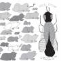 Pet Crow - A Simple Guide To Small And Medium Pond Life