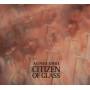 agnes Obel - Citizen Of Glass