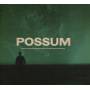 The Radiophonic Workshop - Possum (OST)