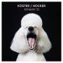 Koester & Hocker - Schng '21 (7 Inch)