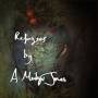 Meilyr Jones - Refugees/birds