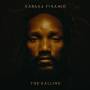 Kabaka Pyramid - The Kalling