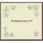 Gjermund Trio Larsen - Christmas Sessions