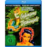 Anthony Quinn / Jeff Chandler / Marilyn Maxwell - Gefangene des Dschungels (in HD neu abgetastet) [DE-Version, Regio 2/B]