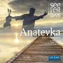 David Levi / Mrbisch Festival - Anatevka