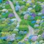 Fiddlehead - BETWEEN THE RICHNESS (Violet Vinyl)