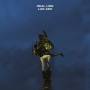Real Lies - Lad Ash (Gatefold 2LP)