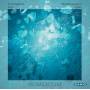Erica Nygrd / Niels Burgmann - Momentum
