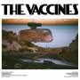 Vaccines - Pick-Up Full Of Pink Carnations ( Baby Pink)