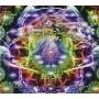 V / a - Positive Alchemists Vol.4