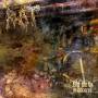 Rot - Old Dirty Grindcores