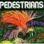 Pedestrians - Coloured and Alive