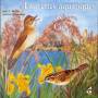 Sons De La Nature - Wetland Warblers & Company