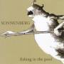 Sonnenberg - Fishing In The Pool