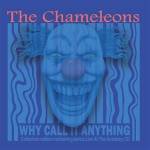 The Chameleons - Why Call It Anything/Live In Manchester