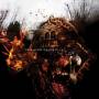 Vein.fm - This World Is Going To Ruin You