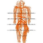 Gregg Belisle-chi - Slow Crawl: Performing the Music of Tim Berne