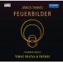 Tomas Dratva & Friends - Feuerbilder-Kammermusik